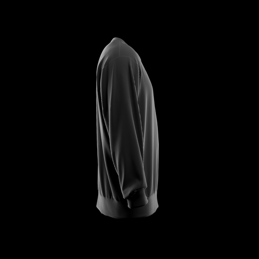 Reverse Weave Sweatshirt