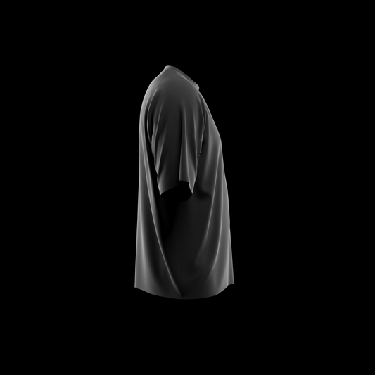 Regular Fit Half Sleeve T-Shirts