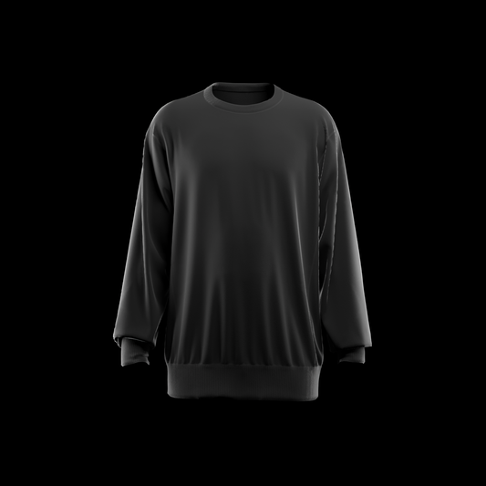 Reverse Weave Sweatshirt